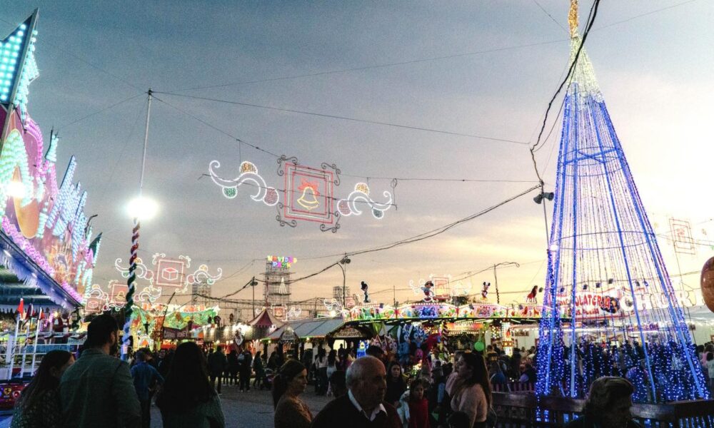 Navidad park 3