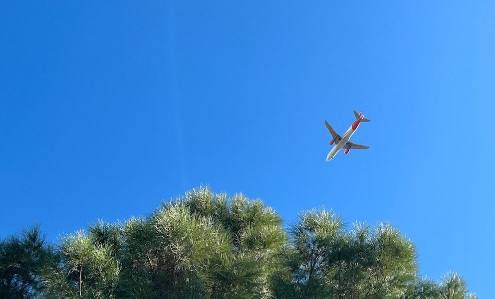 Avion arbol