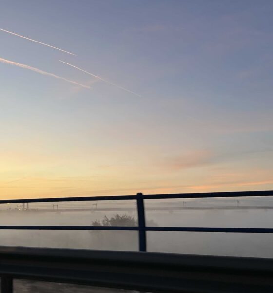 Niebla Guadalquivir Sevilla