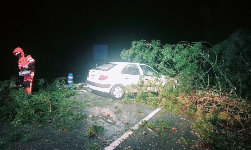 Bomberos temporal