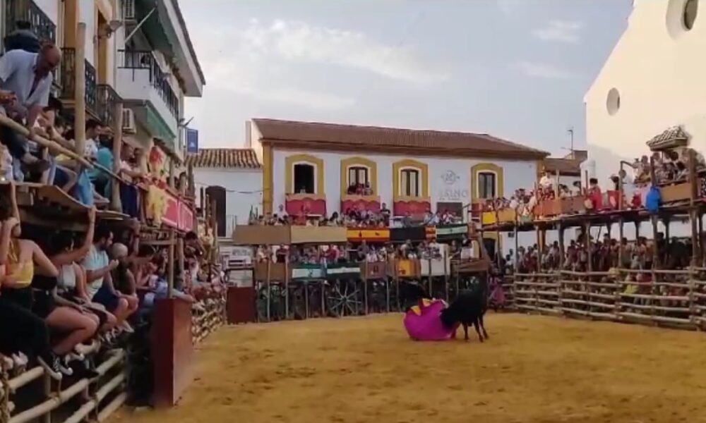 beas toros
