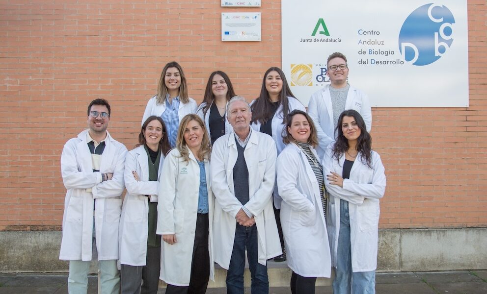 sanchez alcazar equipo olavide