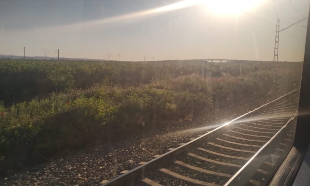 Tren amanecer