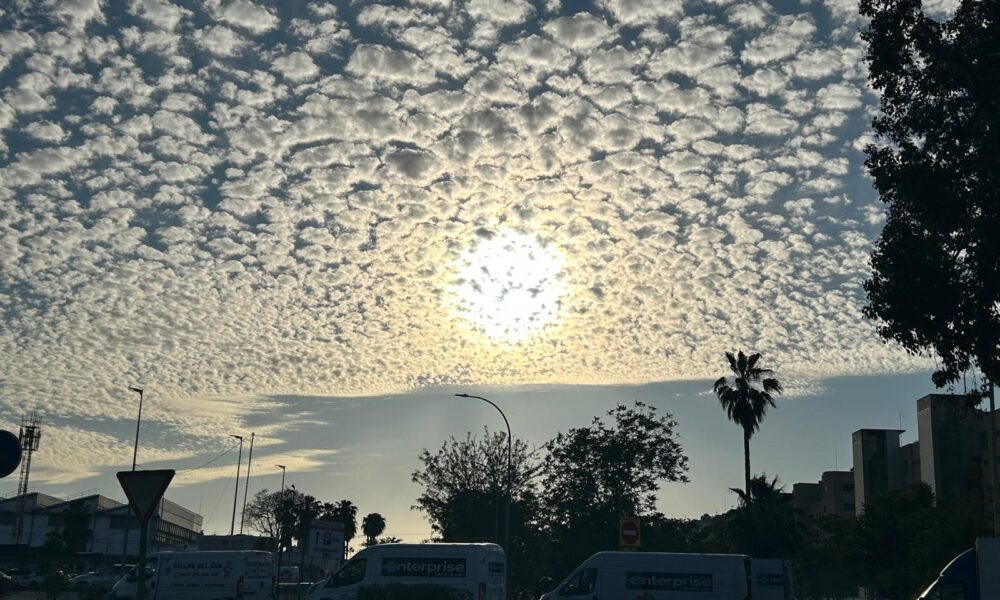 Puesta de sol Feria