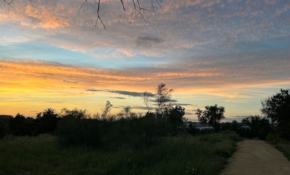 Puesta de sol camino mairena