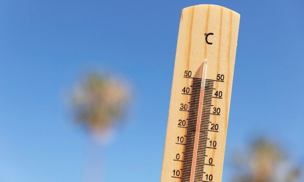 Calor termometro