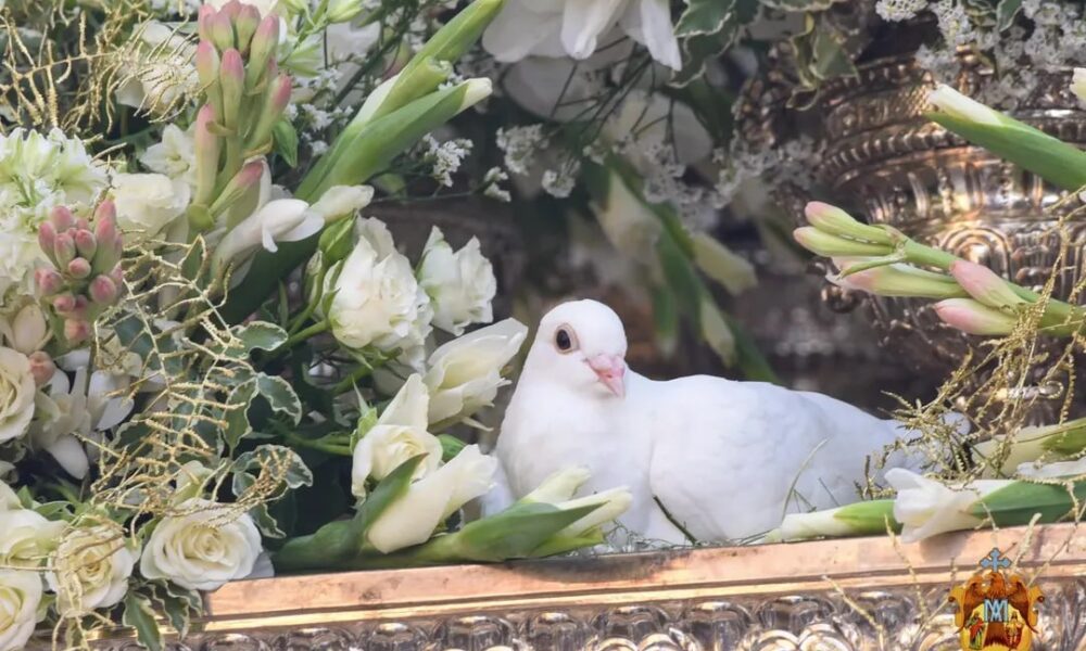 Palomas procesion alcala