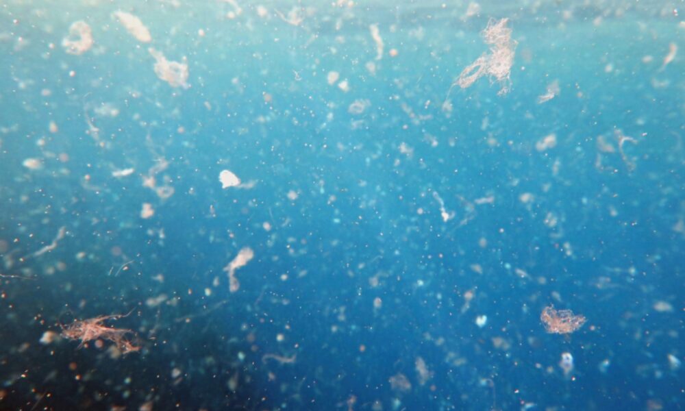 Microplasticos