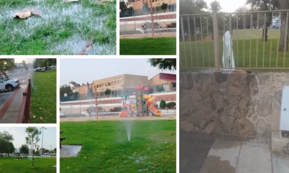 Destrozos parques Arahal