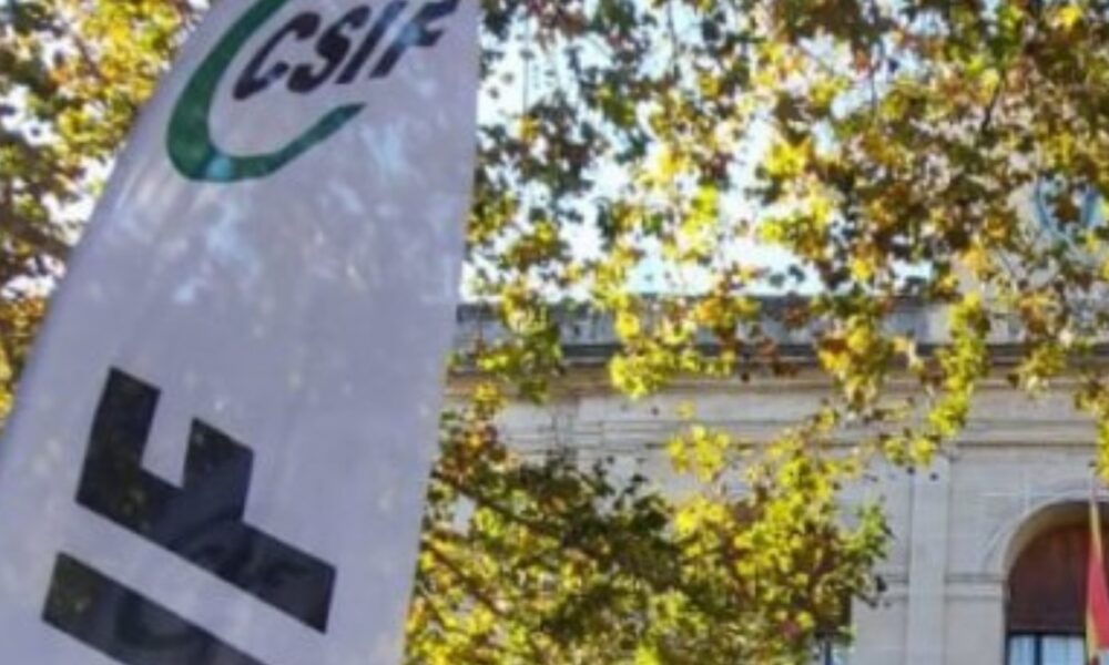 ayuntamiento de sevilla csif