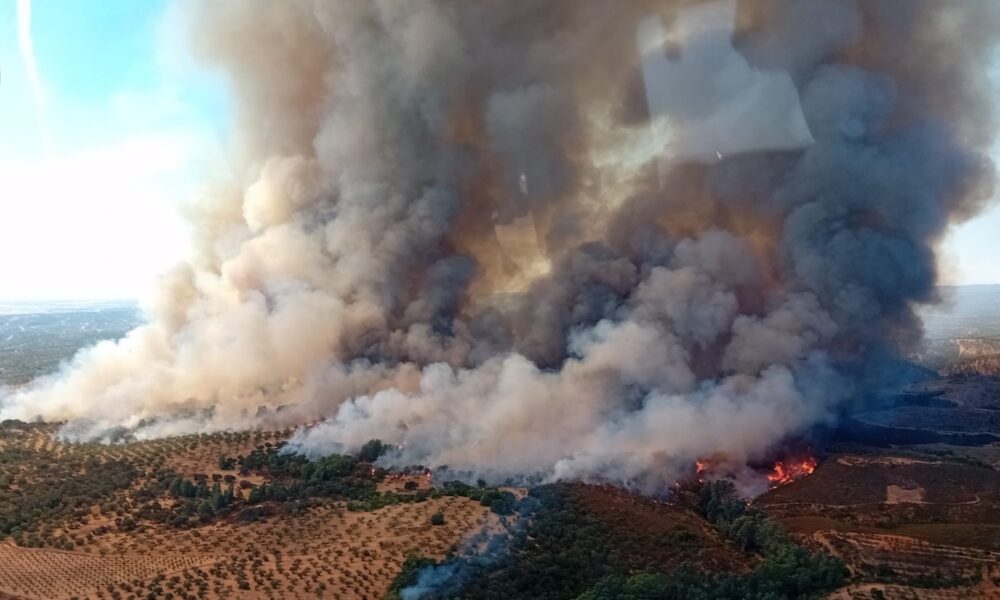 Incendio forestal paterna