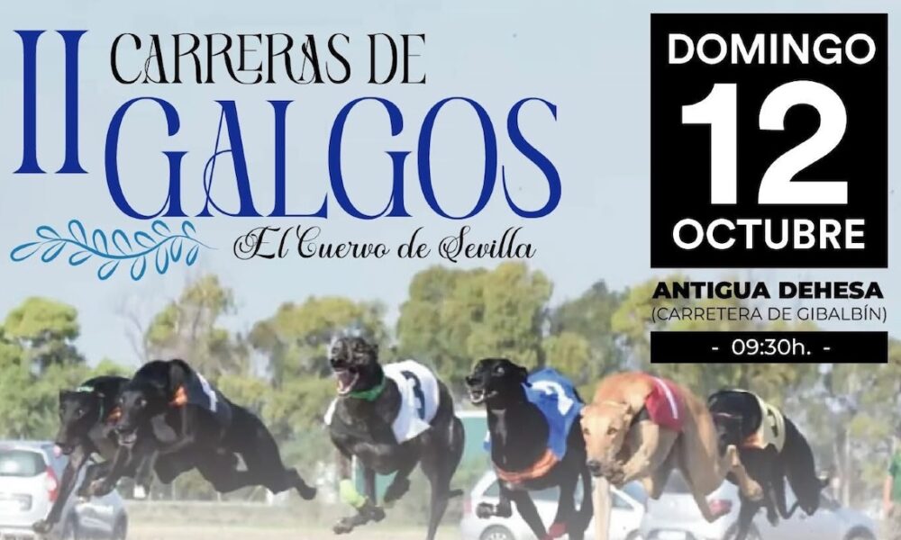Carrera galgos el cuervo