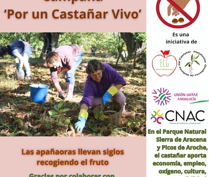 Castanar vivo campana