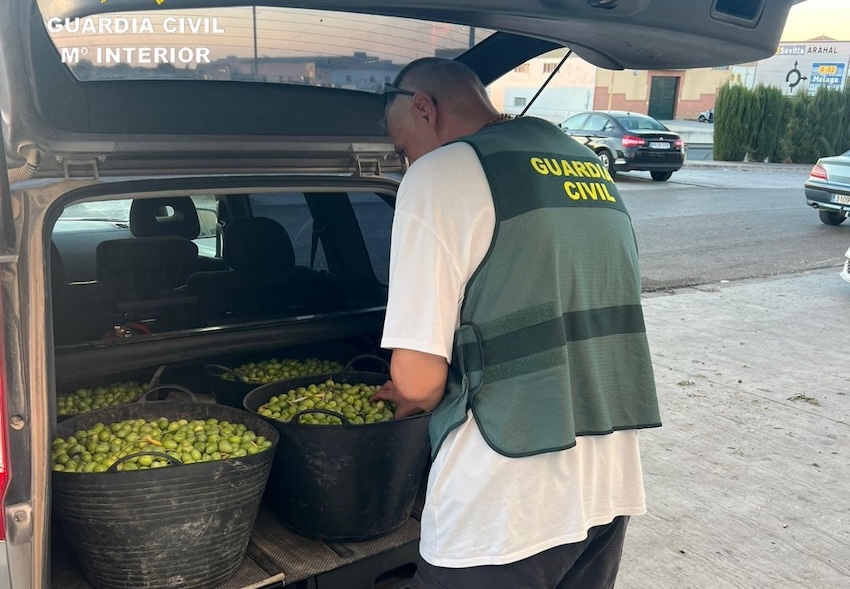 Guardia Civil aceitunas