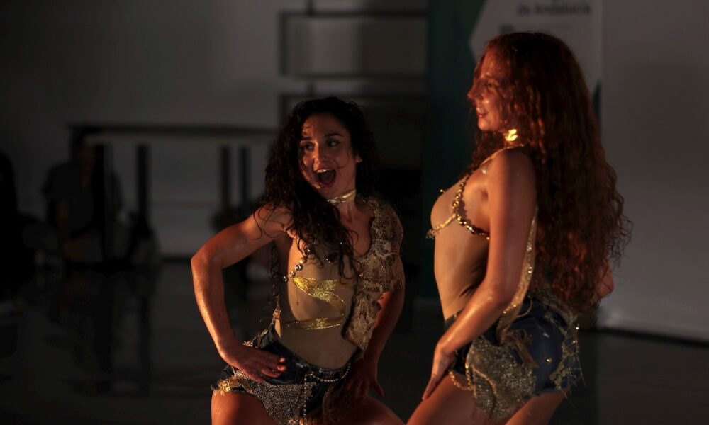 Danza LA IMBUICION