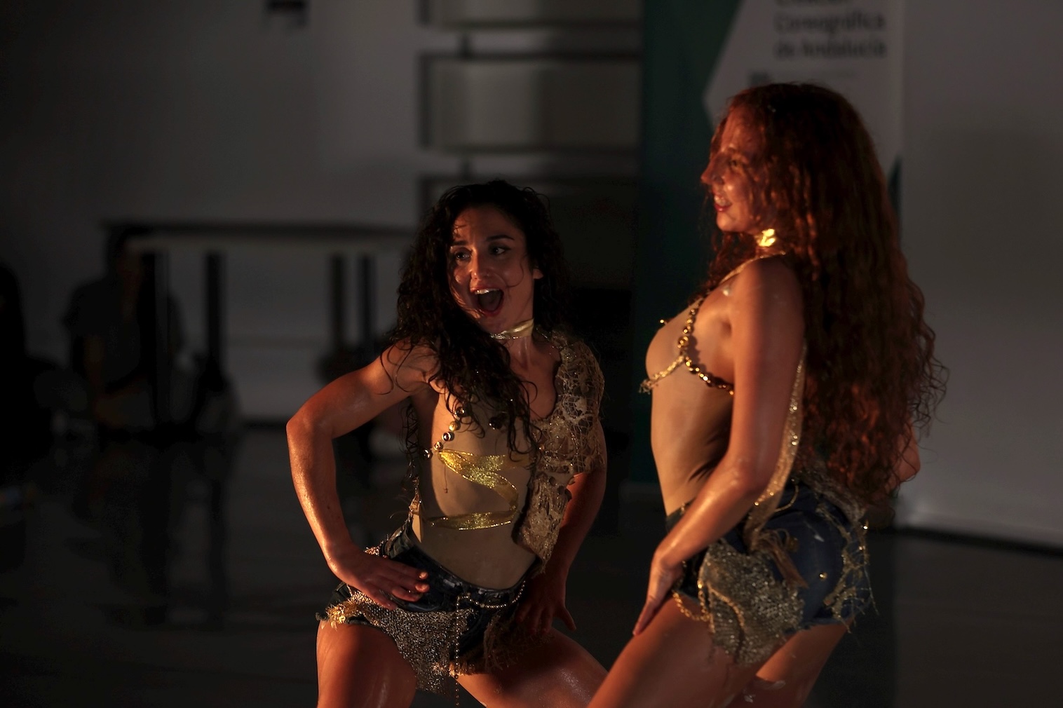 Danza LA IMBUICION