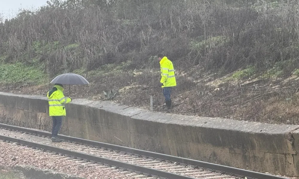 Muro Arahal tren