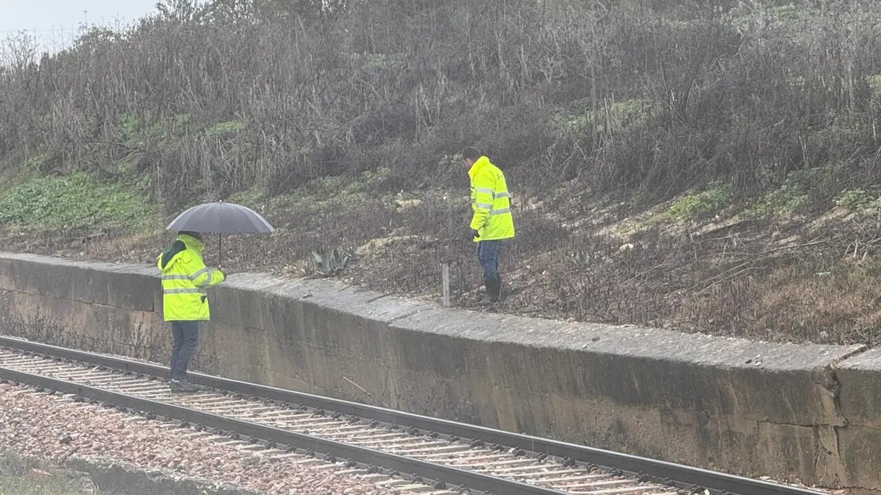 Muro Arahal tren