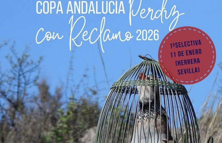 Perdiz con reclamo