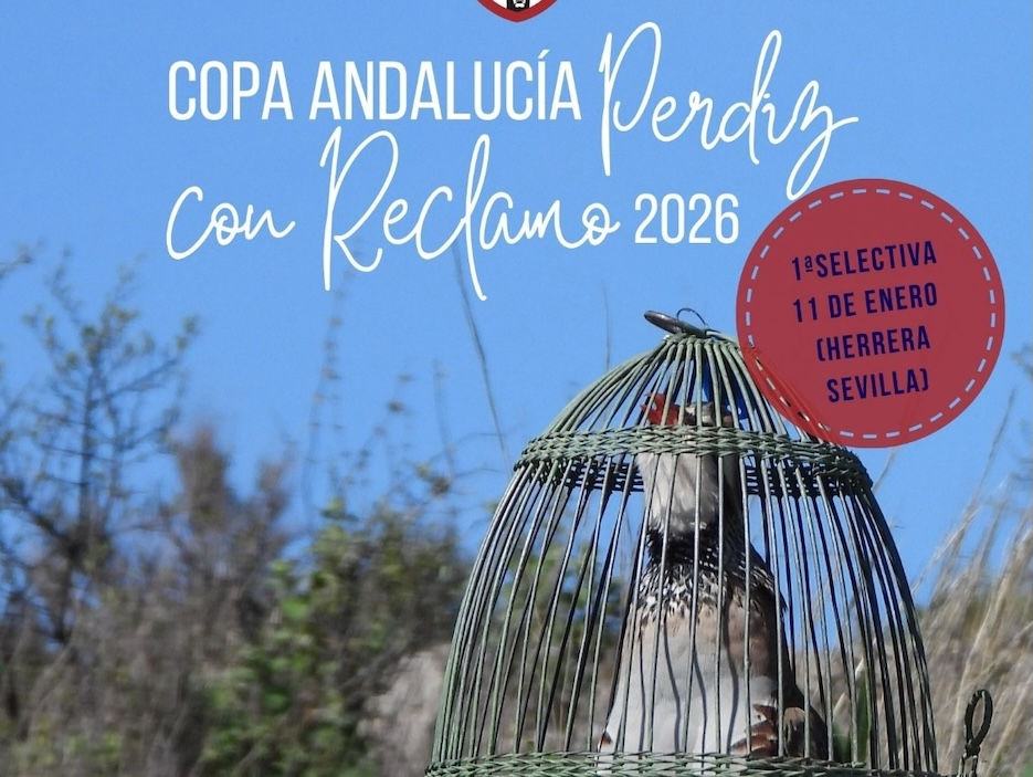Perdiz con reclamo
