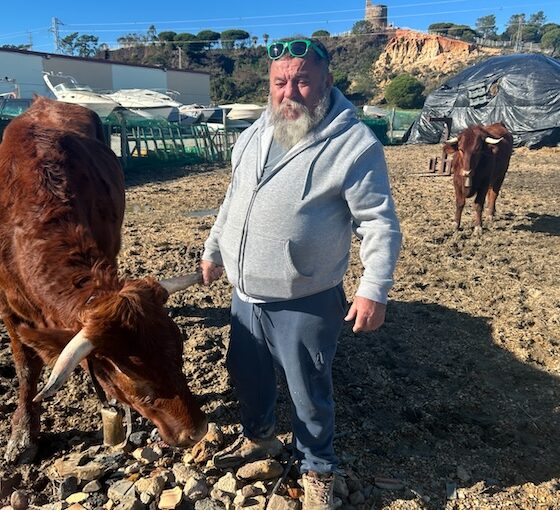 Vacas lepe