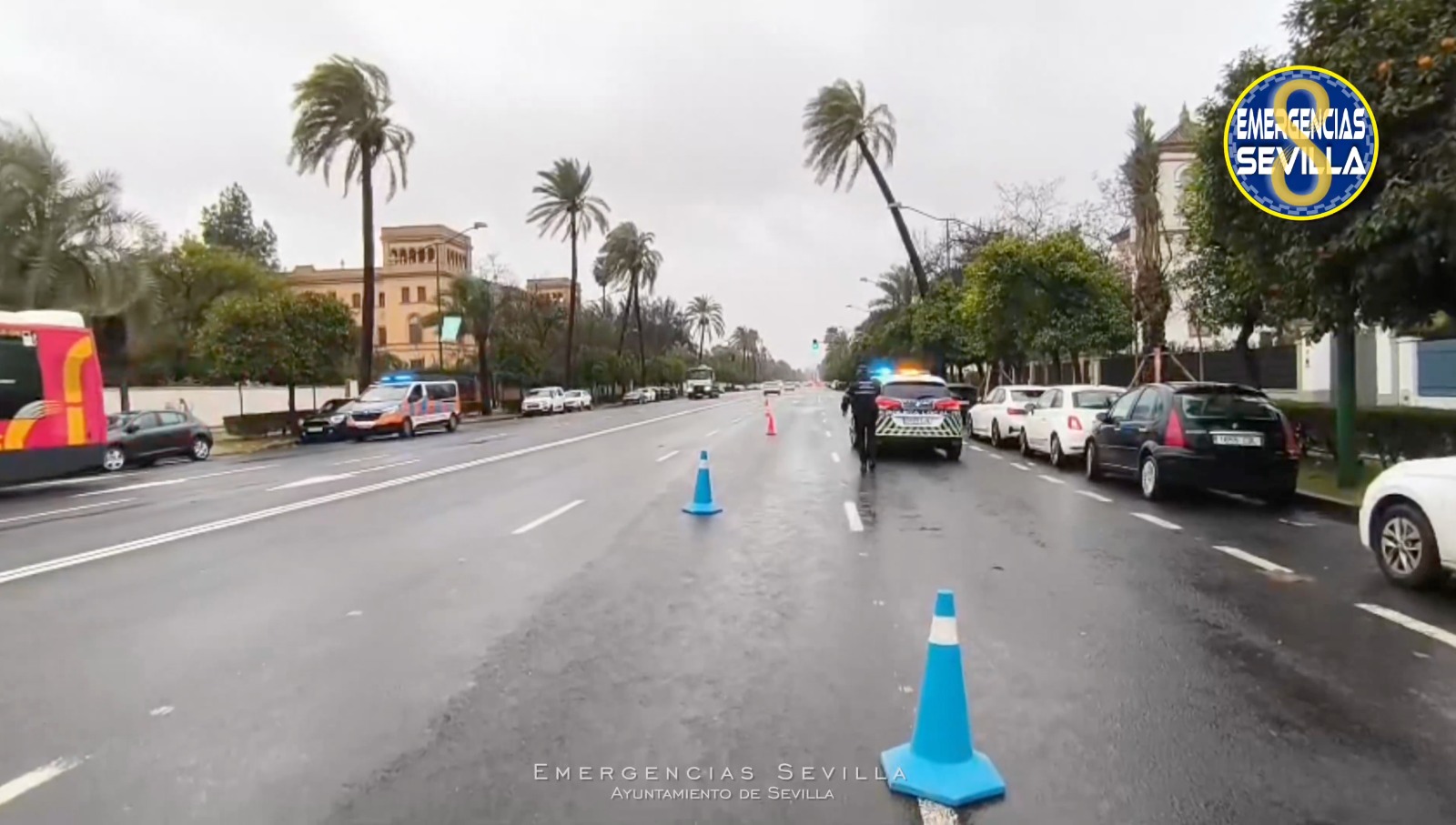 Avenida de la Palmera