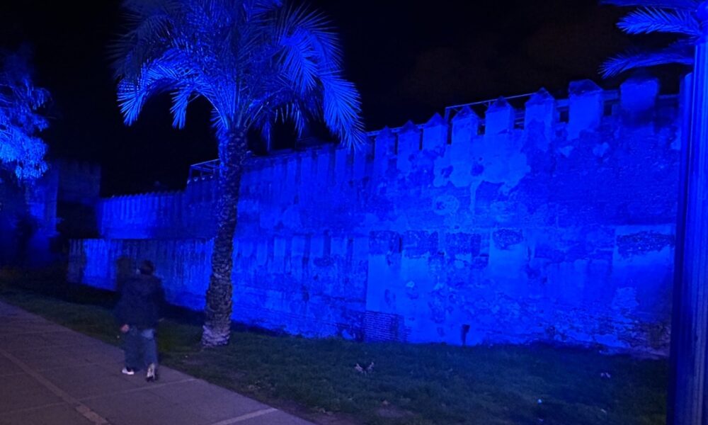 Muralla Macarena Azul Angelman