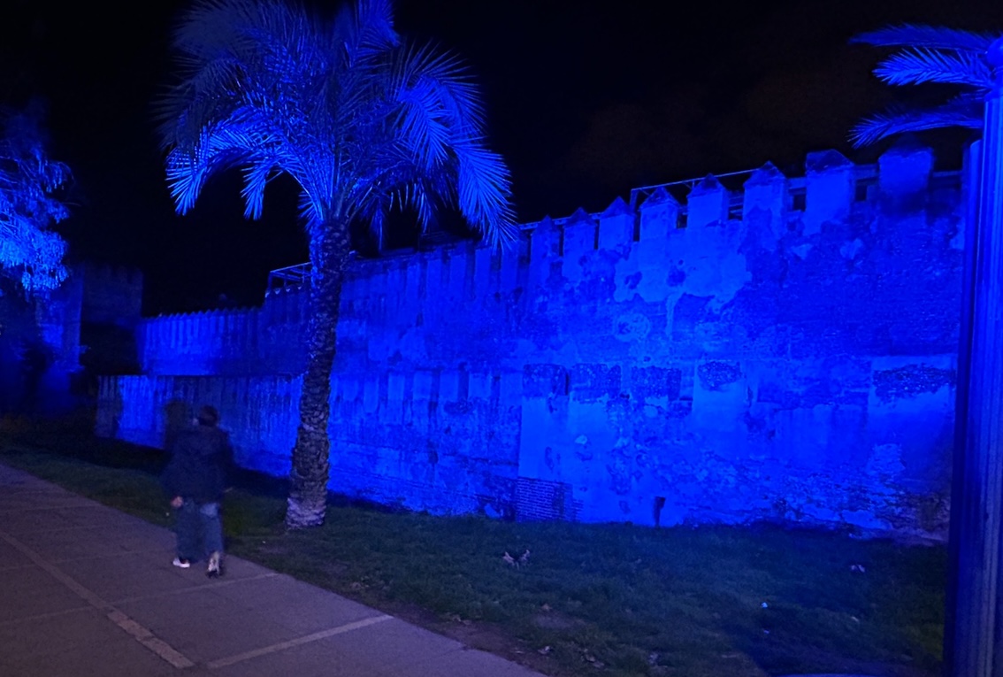 Muralla Macarena Azul Angelman