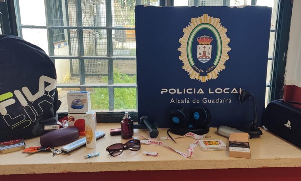 ladron coches alcala