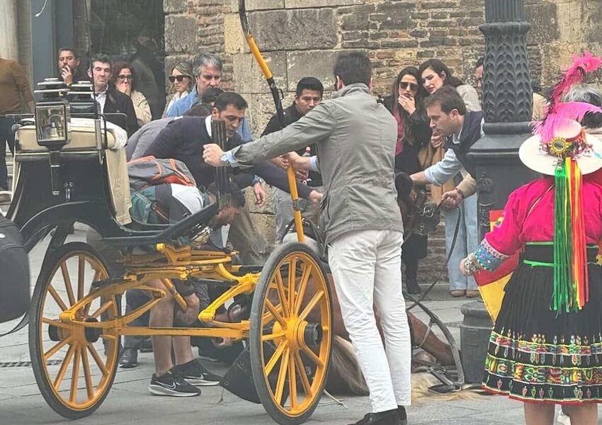 Coche caballos Sevilla