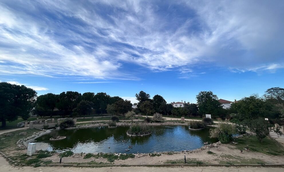 Parque patos Gines