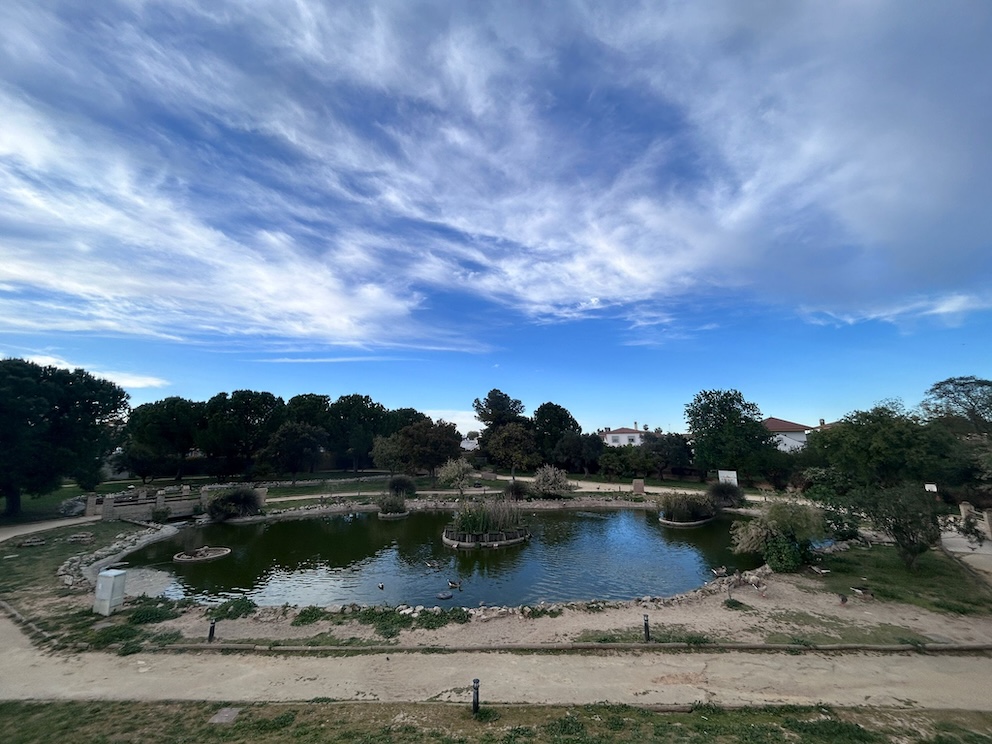 Parque patos Gines