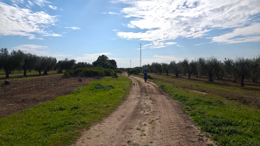 Via pecuaria Arahal