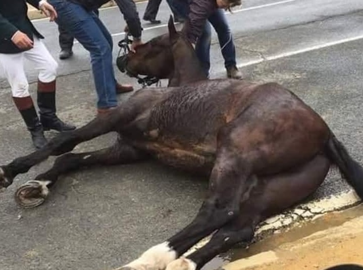 Caballo feria de abril