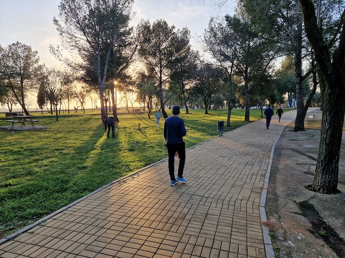 Jardin paseo arboles