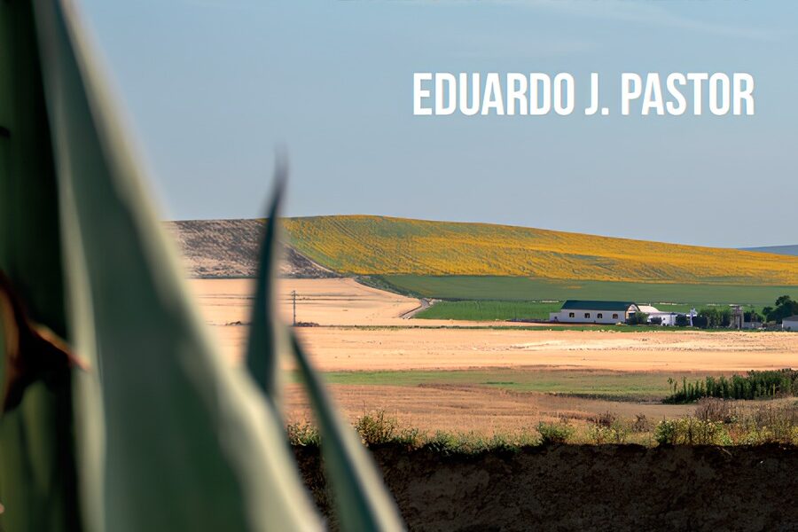 Libro Los Galindos Eduardo Pastor
