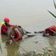 Caballo rescate