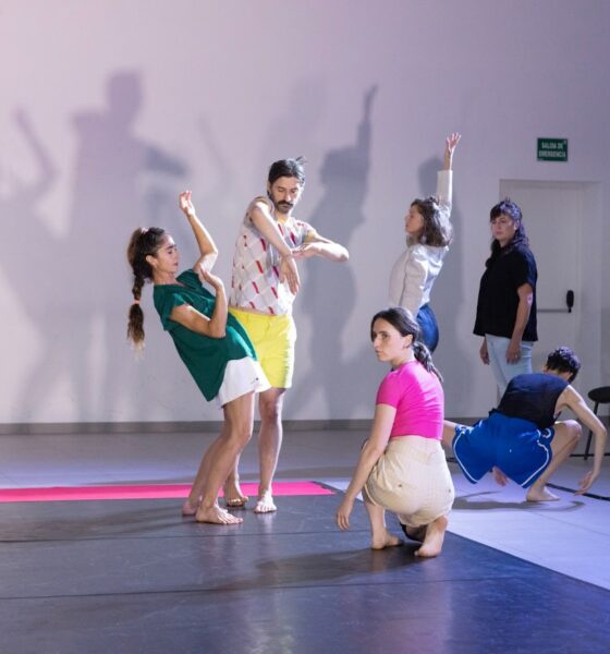 Danza Vertebacion