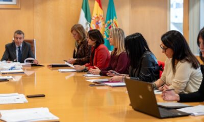 Diputacion Sevilla Junta de gobierno