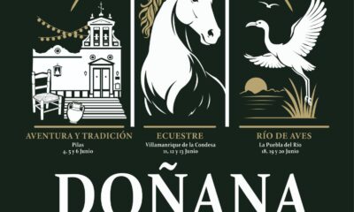 Feria Donana sevillana