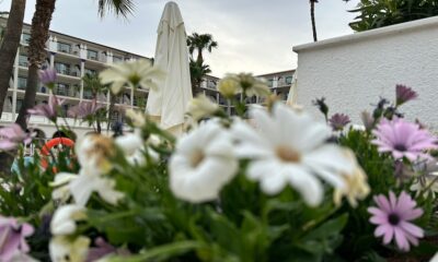 Flores