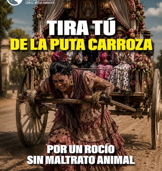Pacma rocio carroza