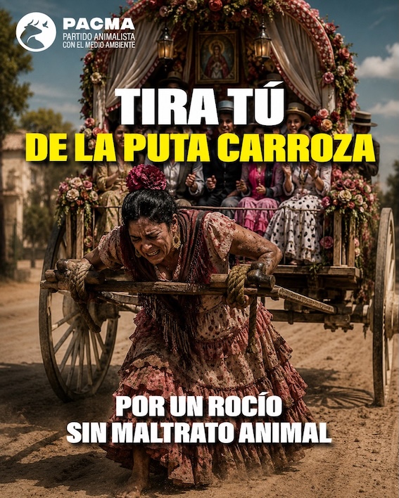 Pacma rocio carroza