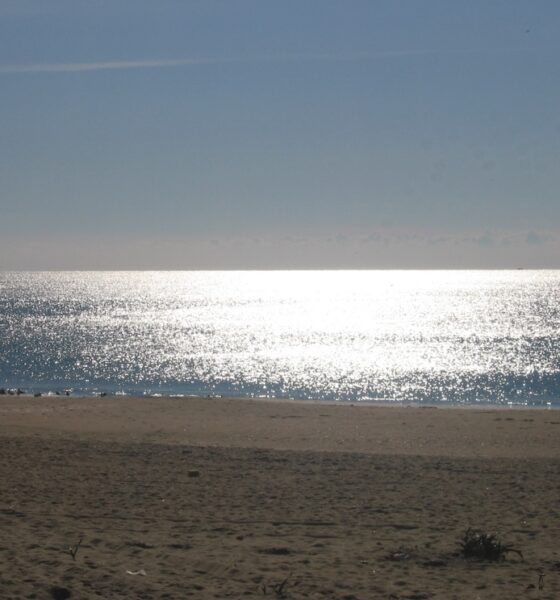 Playa