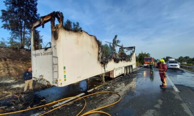 incendio camion caballos
