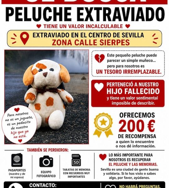 peluche perdido