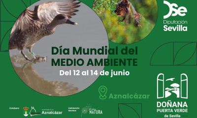 Dia del Medio Ambiente