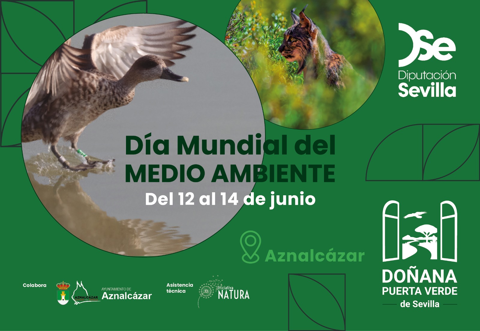 Dia del Medio Ambiente