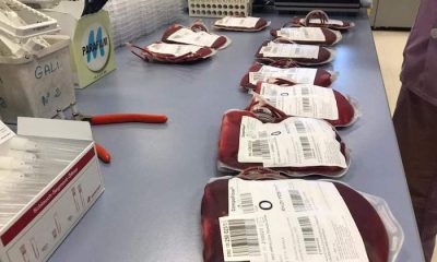 Donacion sangre 4