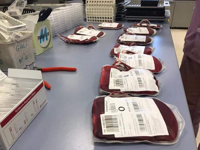 Donacion sangre 4